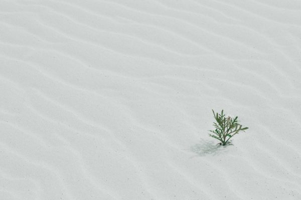 Minimalist Mindfulness Bundle