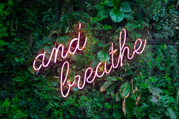 Physical Activity and Mental Wellness Guide
