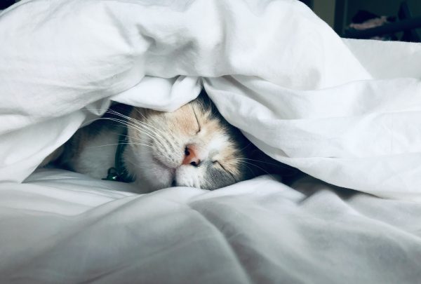 Restorative Sleep I Practical Guide